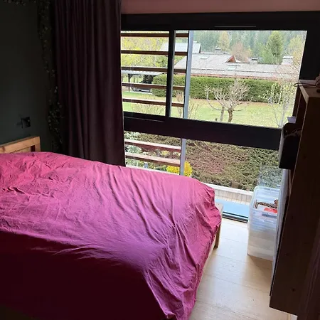 Alpehytte Contemporain Vue Montagne Chamonix